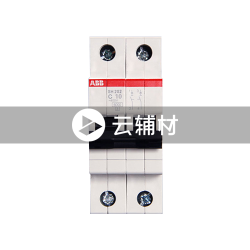 SE202L-C10