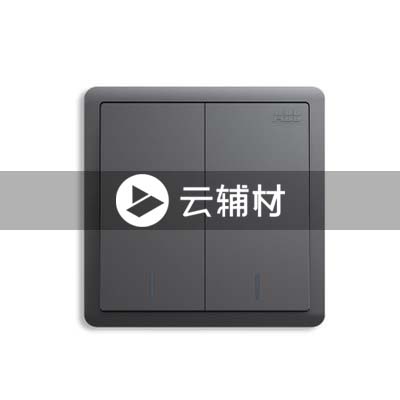 AQ102-EG二位单控带荧光开关 10AX，灰色