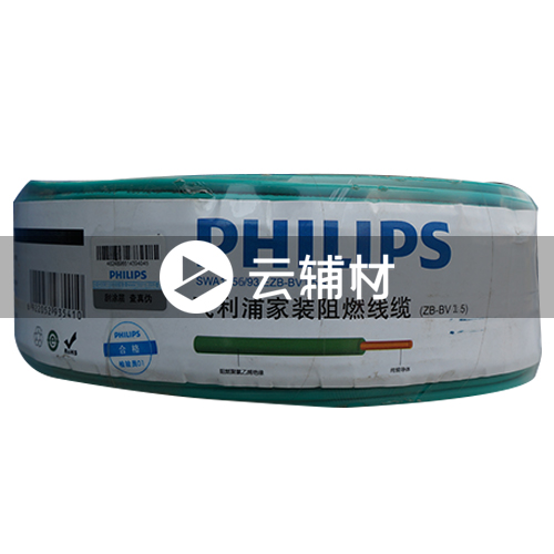 飞利浦SWA1956-100BV1.5绿色