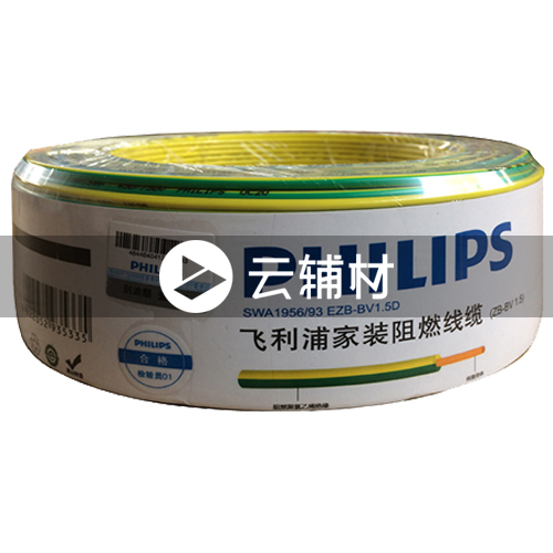飞利浦SWA1958-100BV4.0黄绿