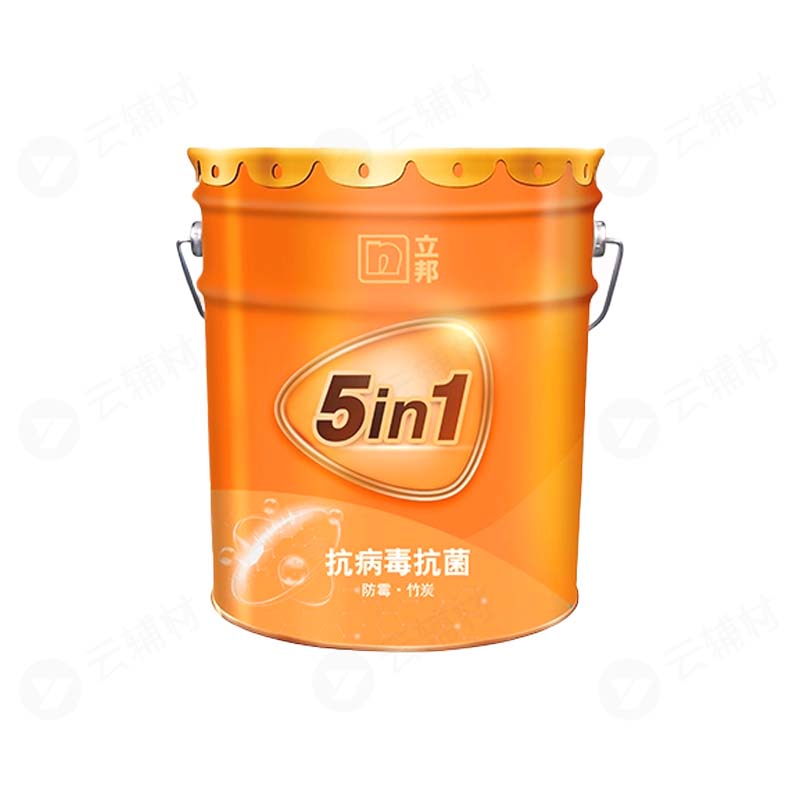 立邦抗病毒抗菌5合1  18L