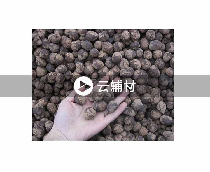 陶粒